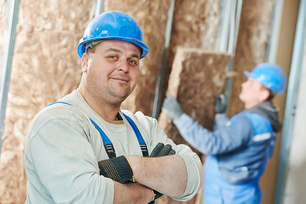 Best Insulation Maintenance and Repair in Joliet, IL